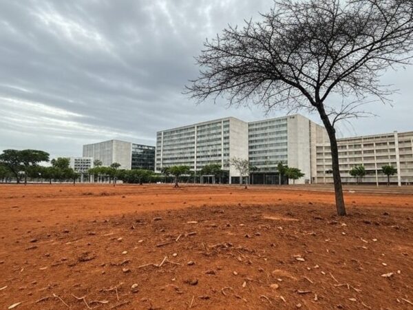 Vista de Brasília com desigualdades na arborização urbana, áreas verdes escassas contrastando com regiões arborizadas.