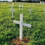 Cemitério de pets no DF, representando PL estagnado para sepultamento de animais de estimação em Brasília.