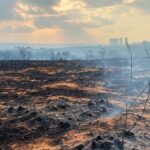 Área de Cerrado queimada no Distrito Federal, com fumaça e vegetação destruída por incêndio.