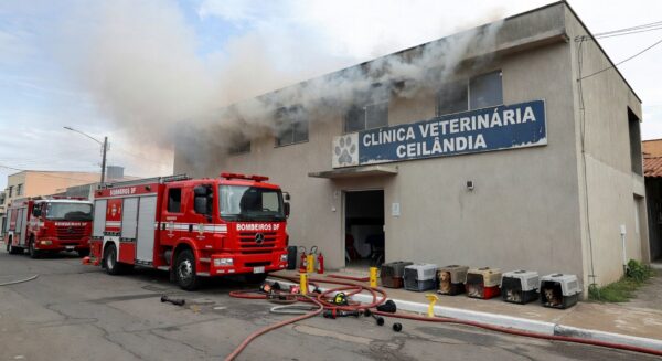 Viaturas de bombeiros em frente a clínica veterinária em Ceilândia após resgate de animais de incêndio.