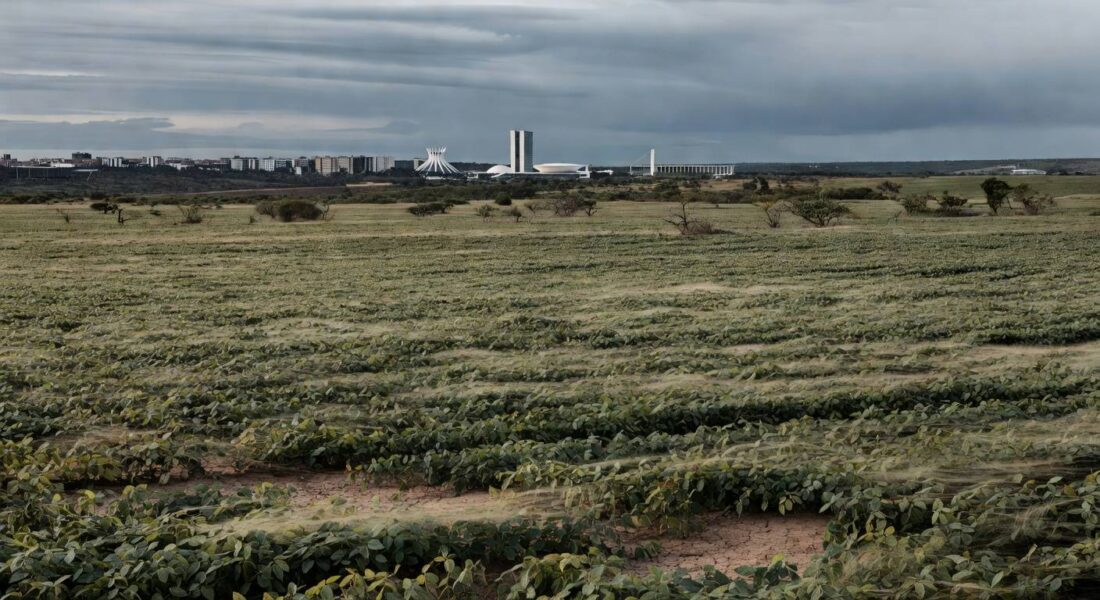 Plantação de soja no Distrito Federal com silhueta de Brasília ao fundo, representando incentivos fiscais para agropecuária.