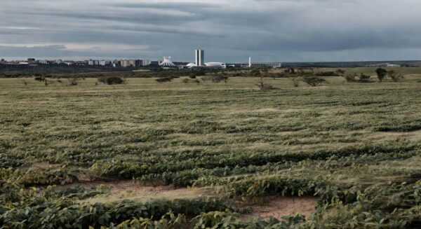 Plantação de soja no Distrito Federal com silhueta de Brasília ao fundo, representando incentivos fiscais para agropecuária.