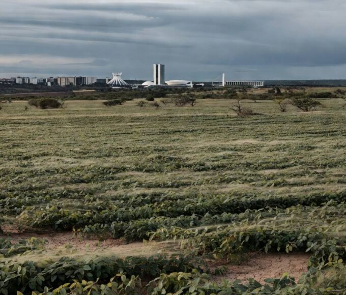 Plantação de soja no Distrito Federal com silhueta de Brasília ao fundo, representando incentivos fiscais para agropecuária.