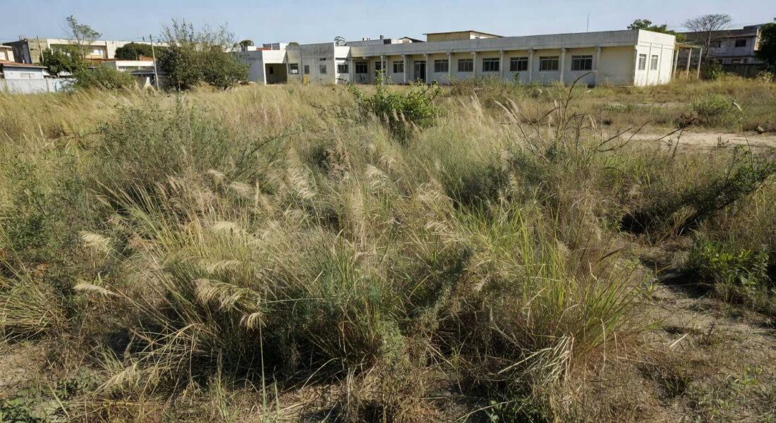 Lote com mato alto ao lado de escola em Taguatinga notificado para limpeza