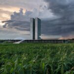 Plenário da CLDF com elementos da agricultura brasileira em sessão solene