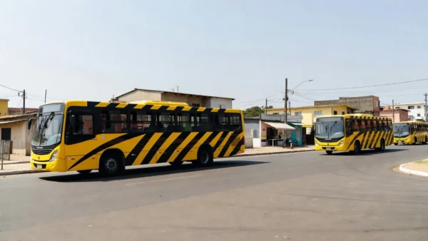 Novos ônibus zebrinhas Viação Marechal em operação em Ceilândia e Taguatinga